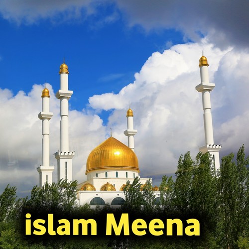 Islam Meena