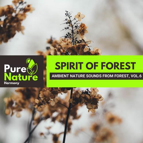 Spirit of Forest - Ambient Nature Sounds from Forest, Vol.6