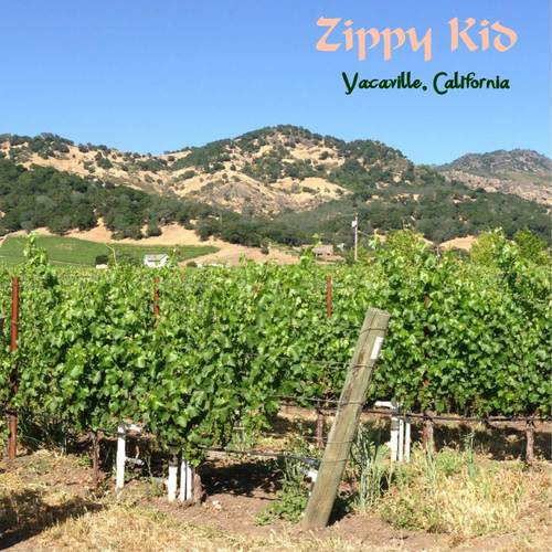 Vacaville, California