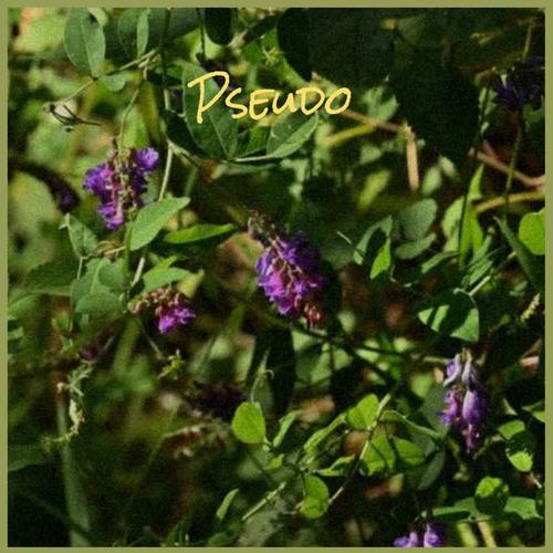 Pseudo