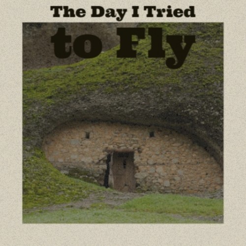 The Day I Tried to Fly