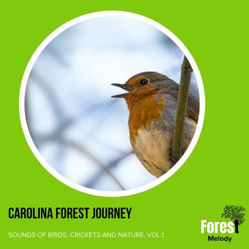 Carolina Forest Journey - Sounds of Birds, Crickets and Nature, Vol.1