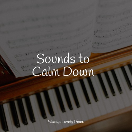 Sounds to Calm Down