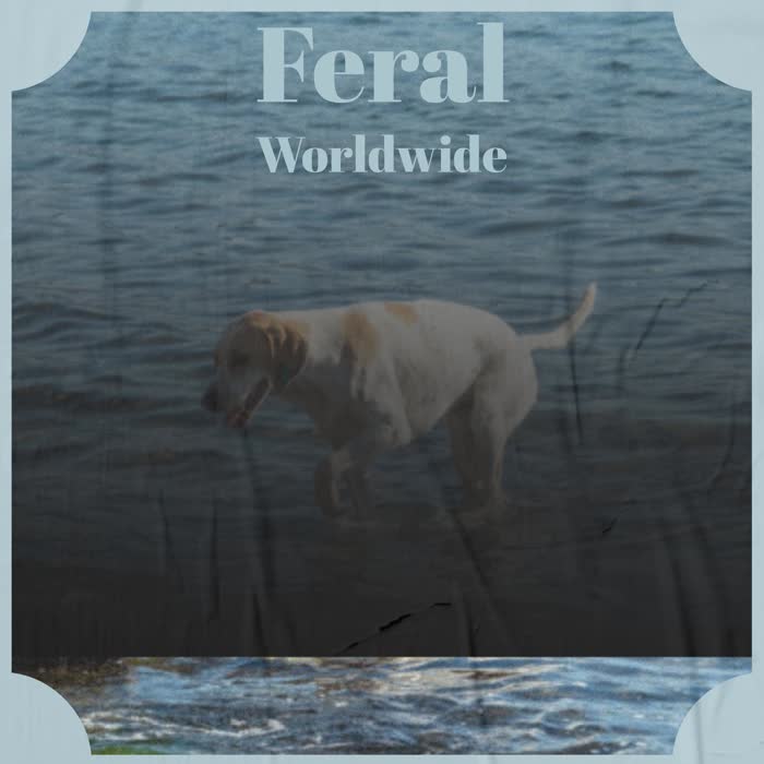 Feral Worldwide