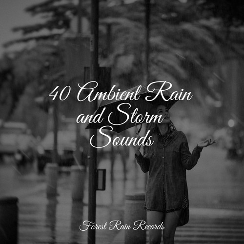 40 Ambient Rain and Storm Sounds