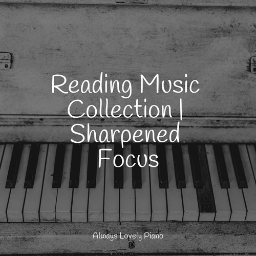 Reading Music Collection | Sharpened Focus