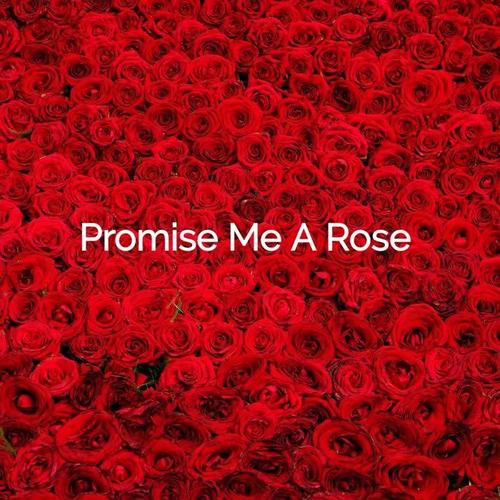 Promise Me Roses