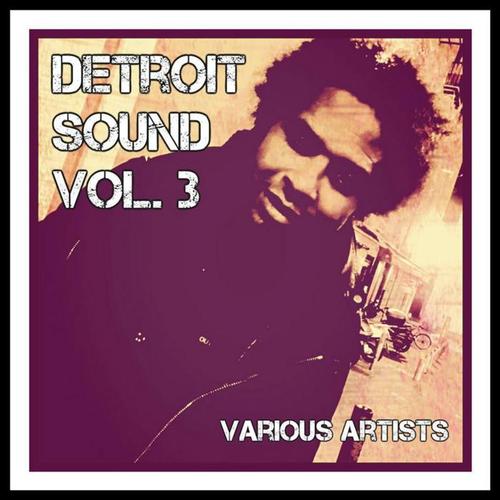 Detroit Sound, Vol. 3