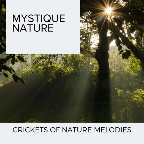 Mystique Nature - Crickets of Nature Melodies