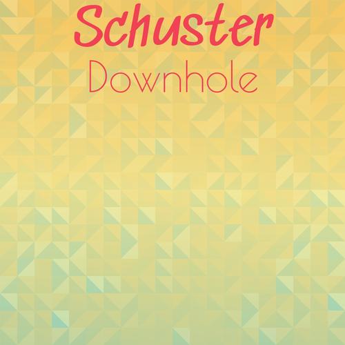 Schuster Downhole