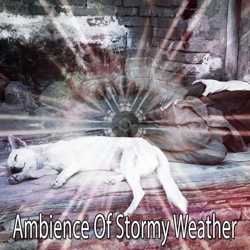 Ambience Of Stormy Weather