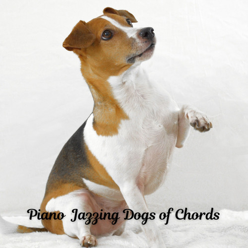 Piano Jazzing Dogs of Chords