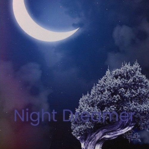 Night Dreamer