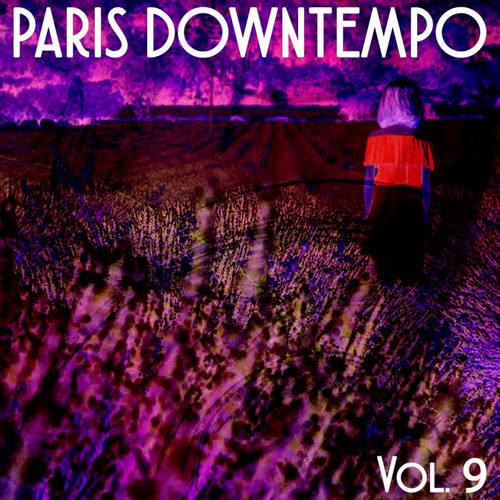 Paris Downtempo, Vol. 9