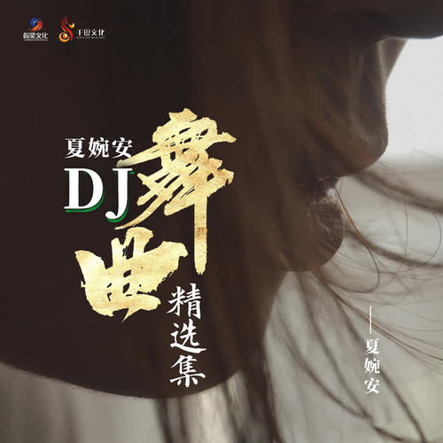 夏婉安DJ舞曲精选集