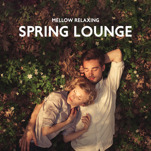 Mellow Relaxing Spring Lounge and Perfect Pleasant Feeling of Calm