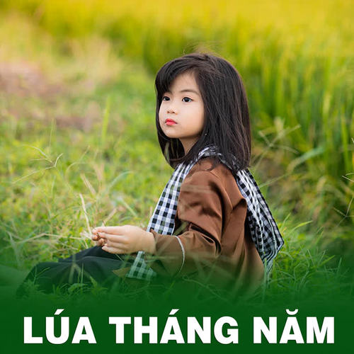 Lúa tháng năm