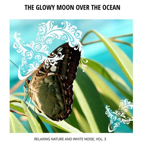 The Glowy Moon Over the Ocean - Relaxing Nature and White Noise, Vol. 3