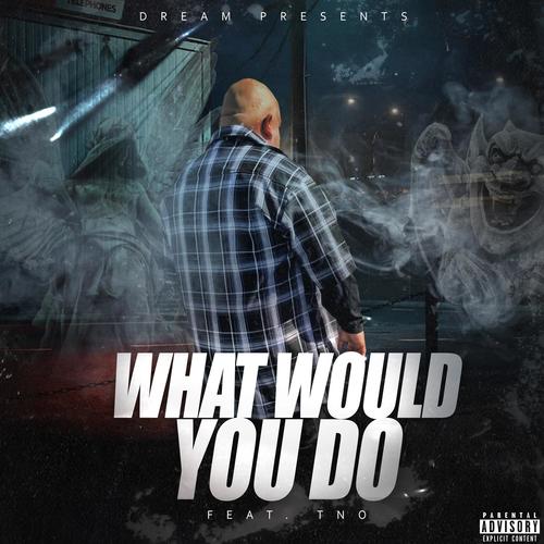 WHAT WOULD YOU DO (feat. TNO) [Explicit]