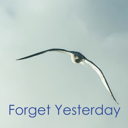 Forget Yesterday