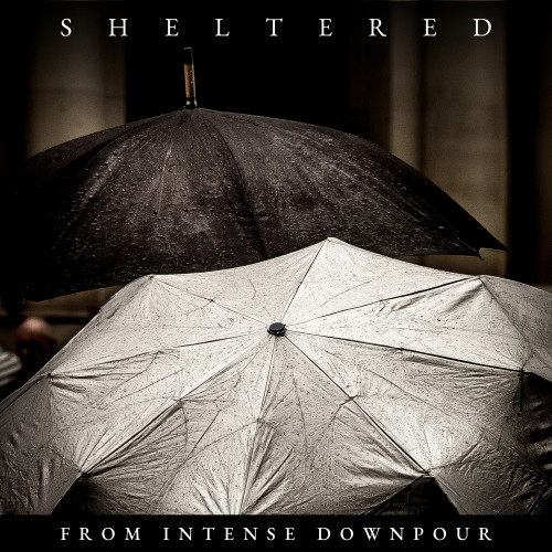 Sheltered from Intense Downpour