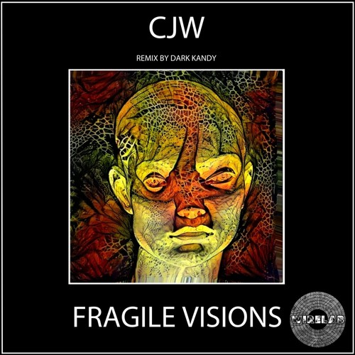 Fragile Visions