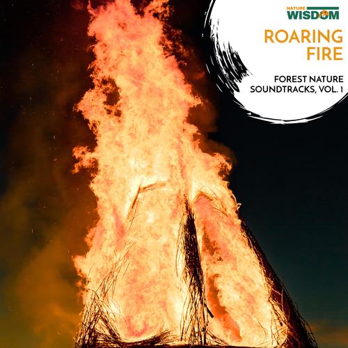 Roaring Fire - Forest Nature Soundtracks, Vol. 1