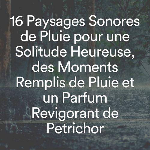 16 paysages sonores de pluie pour une solitude heureuse, des moments remplis de pluie et un parfum revigorant de petrichor