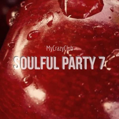 Soulful Party 7