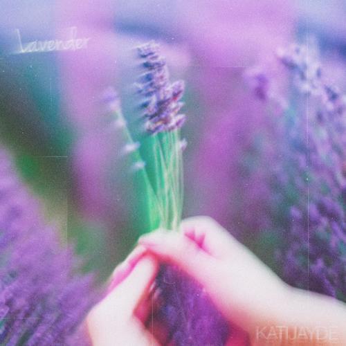 Lavender