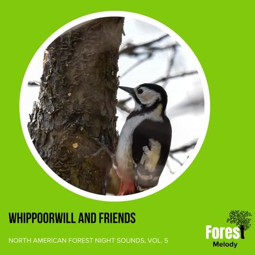 Whippoorwill and Friends - North American Forest Night Sounds, Vol. 5