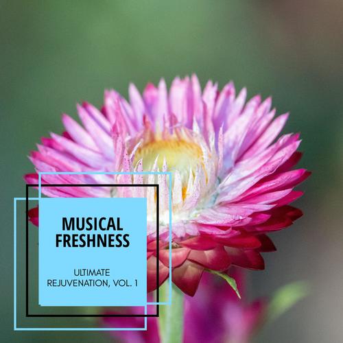 Musical Freshness - Ultimate Rejuvenation, Vol. 1