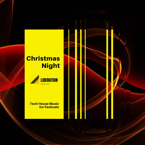 Christmas Night: Tech House Music for Festivals