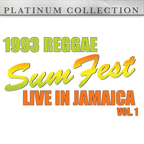 1993 Reggae Sumfest - Live in Jamaica Vol. 1