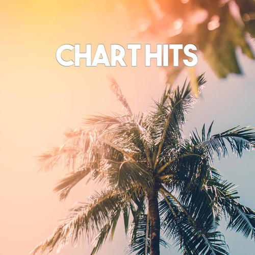 Chart Hits (Explicit)