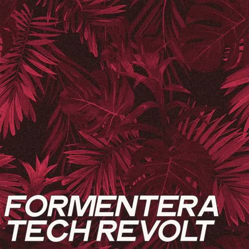 Formentera Tech Revolt