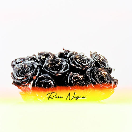 Rosa Negra (Explicit)