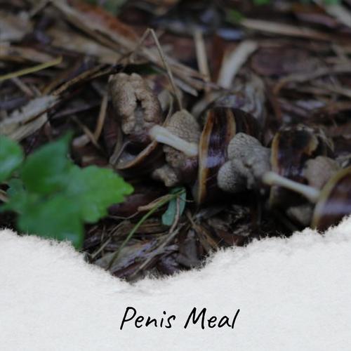 Penis Meal