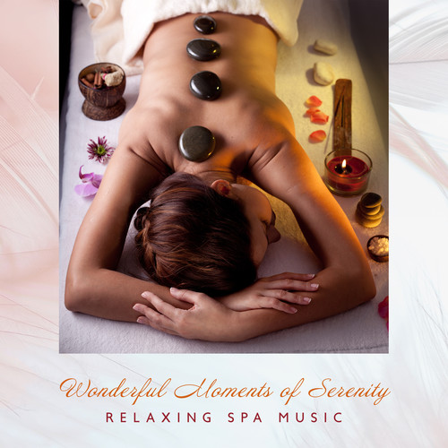 Wonderful Moments of Serenity – Relaxing Spa Music for Pure Relaxation, Invigorate Your Body and Mind, Healing Music for Wellness Resort & Home Spa