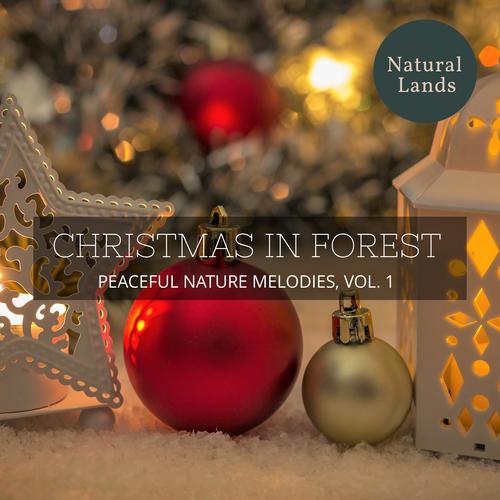 Christmas in Forest - Peaceful Nature Melodies, Vol. 1