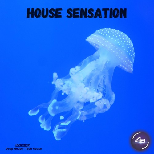 House Sensation