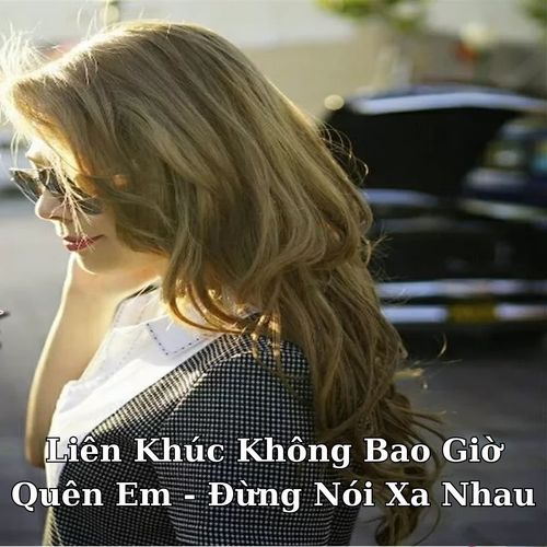 Liên Khúc Không Bao Giờ Quên Em / Đừng Nói Xa Nhau