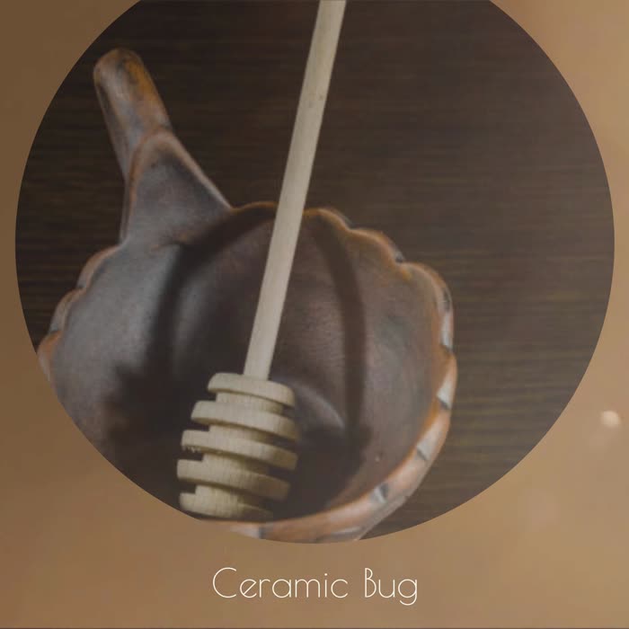 Ceramic Bug