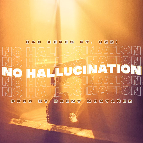 No Hallucination