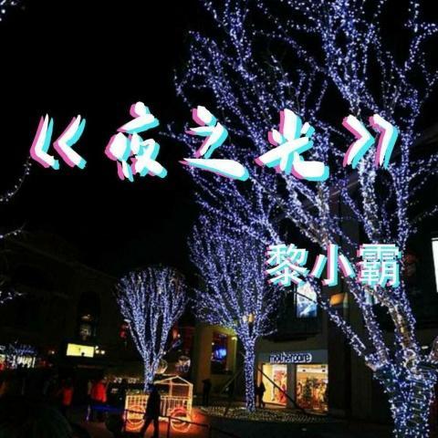 夜之光 (DJ版)