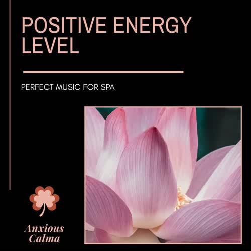 Positive Energy Level - Perfect Music For Spa