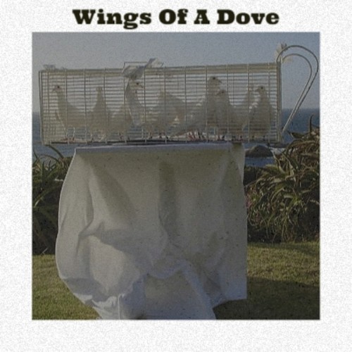 Wings Of A Dove