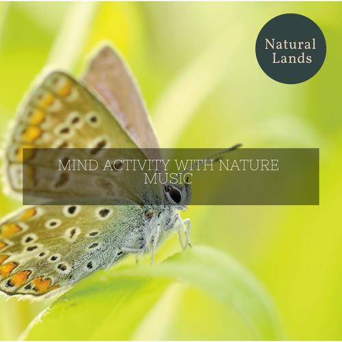 Mind Activity with Nature Music