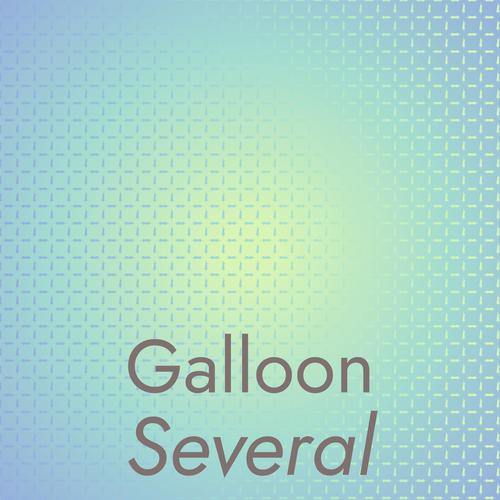 Galloon Several