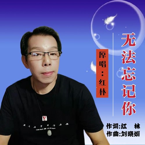 无法忘记你